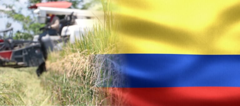 El Ministerio de Agricultura implementa medidas directas y ajustes normativos para proteger a los productores ante la volatilidad del mercado internacional.