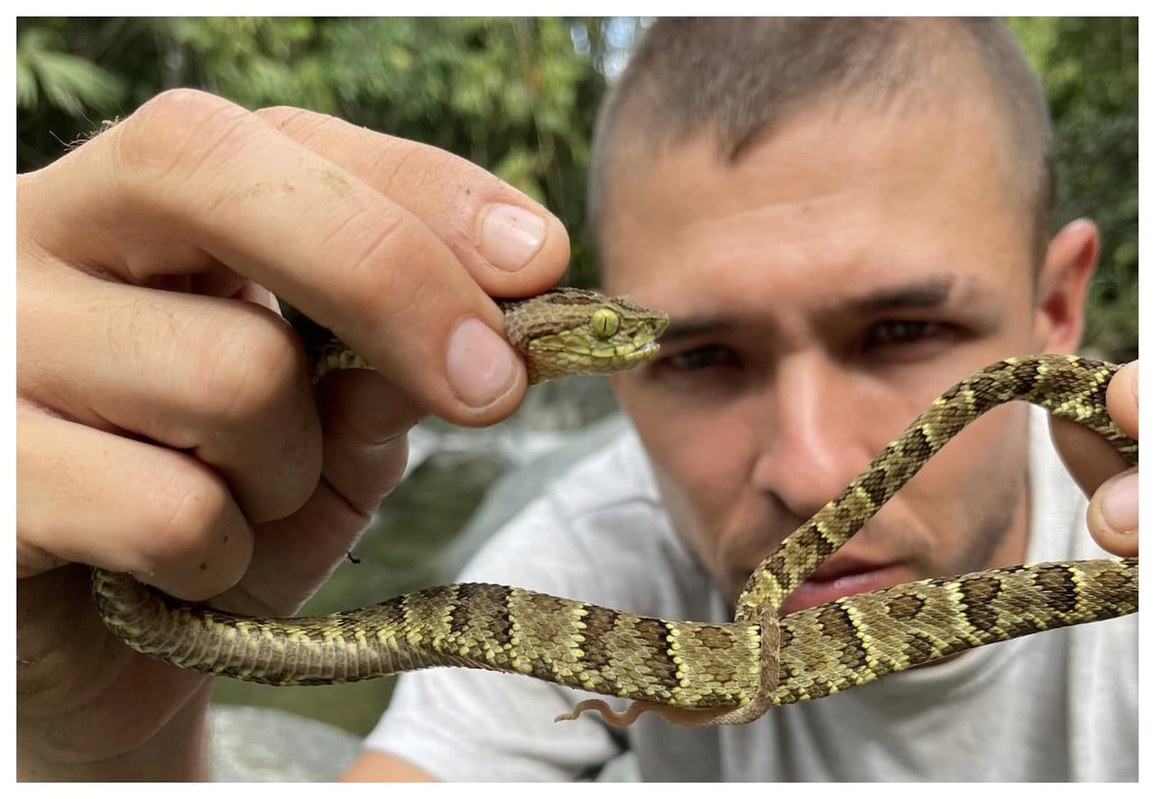 cleyderson Tejada Martínez, Bioaventura.