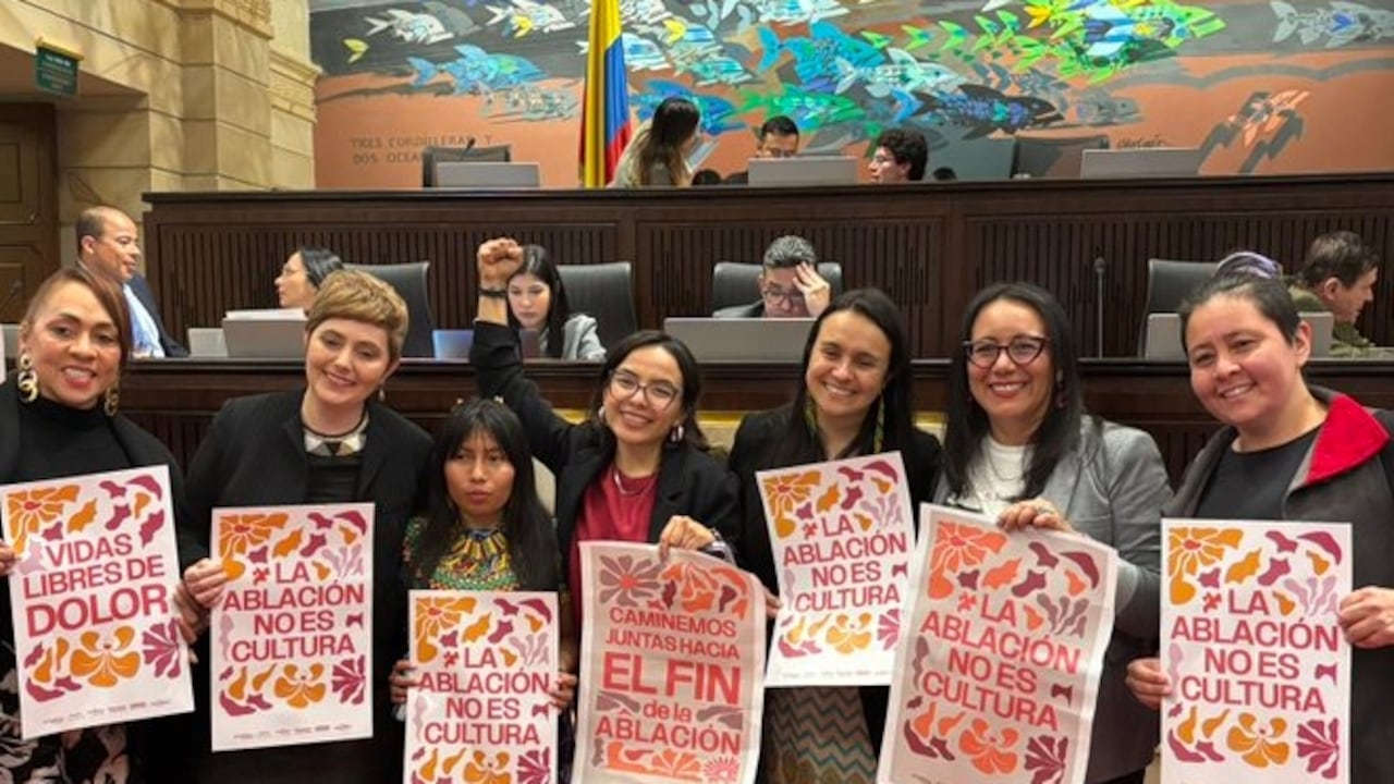 Aprueban Segundo debate del proyecto #NiñasSinAblación