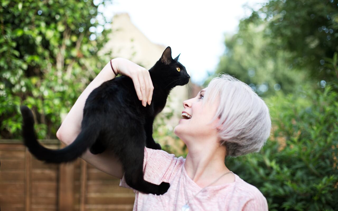 ¿Qué misterios acechan en los rincones de nuestras casas que solo los felinos pueden percibir? Investigadores han encontrado respuestas sorprendentes.