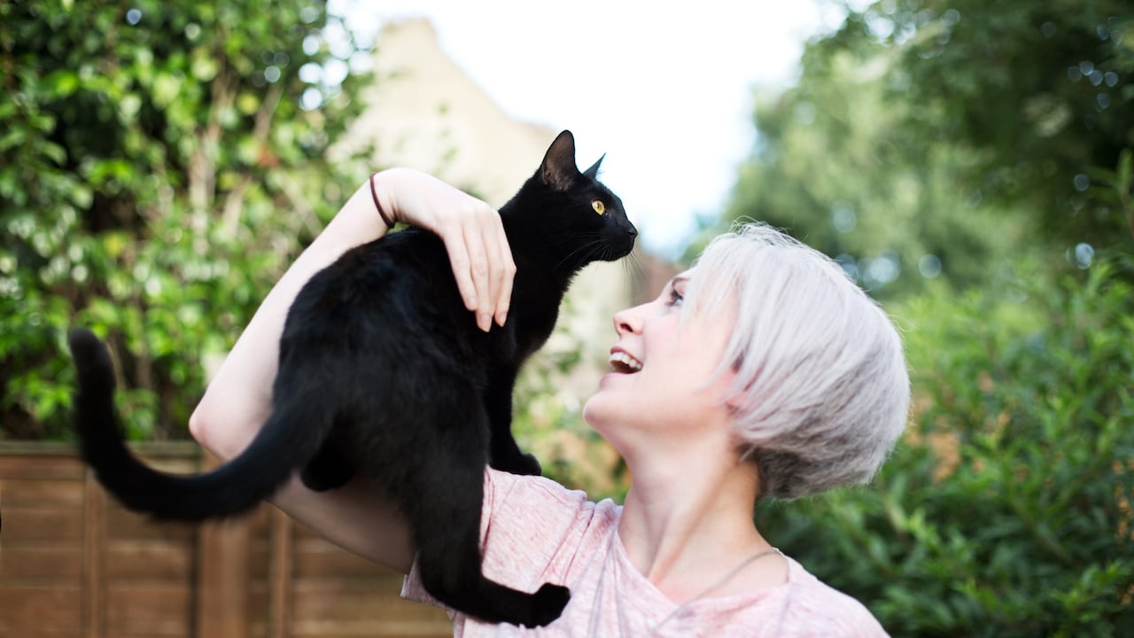 ¿Qué misterios acechan en los rincones de nuestras casas que solo los felinos pueden percibir? Investigadores han encontrado respuestas sorprendentes.