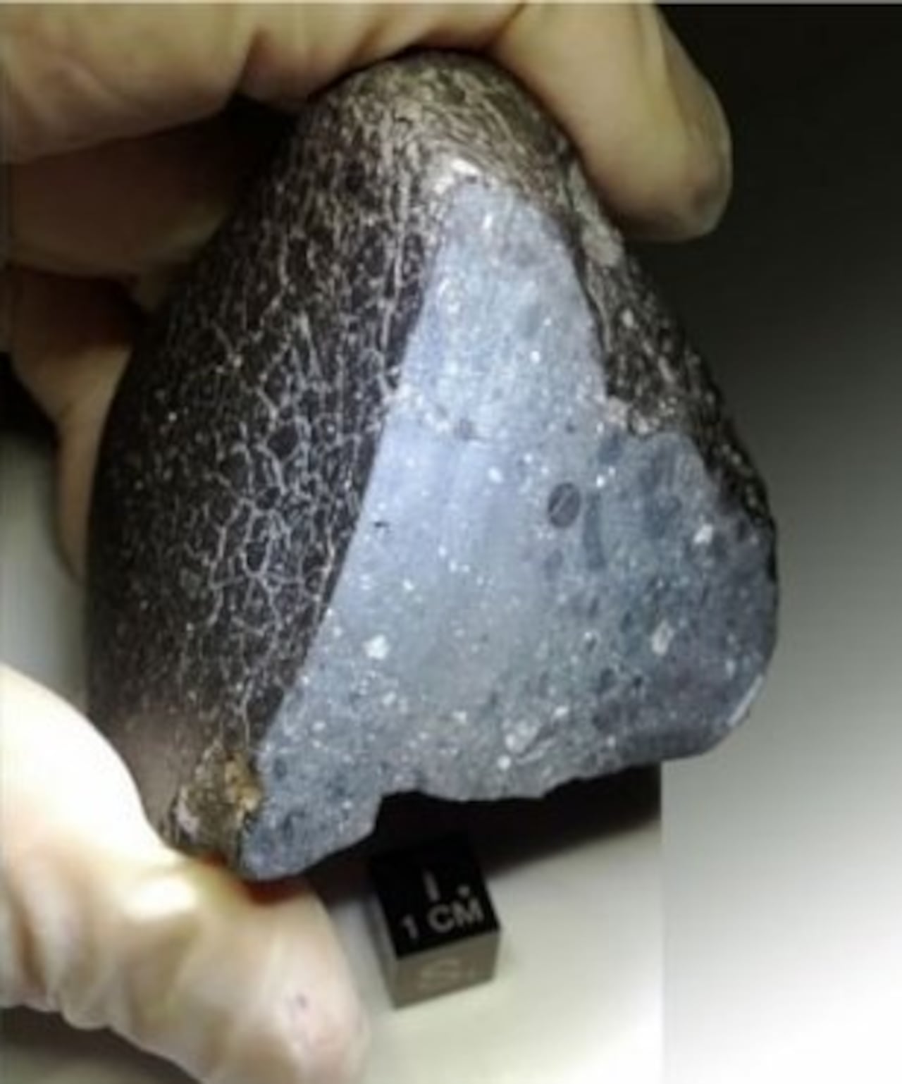 La pieza, bautizada científicamente como Northwest Africa (NWA) 7034 y conocida popularmente como ‘Black Beauty’.