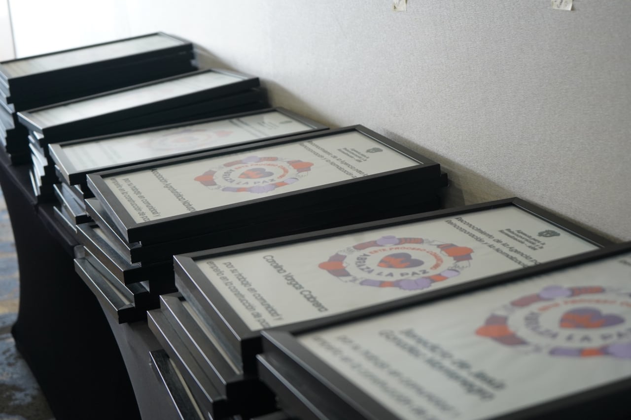 En el Cauca, estas acciones buscan consolidar procesos asociativos, fortalecer el tejido social y aportar a la estabilización de zonas históricamente afectadas por el conflicto armado, reafirmando el compromiso institucional con la reconciliación, la inclusión social y el desarrollo rural integral.