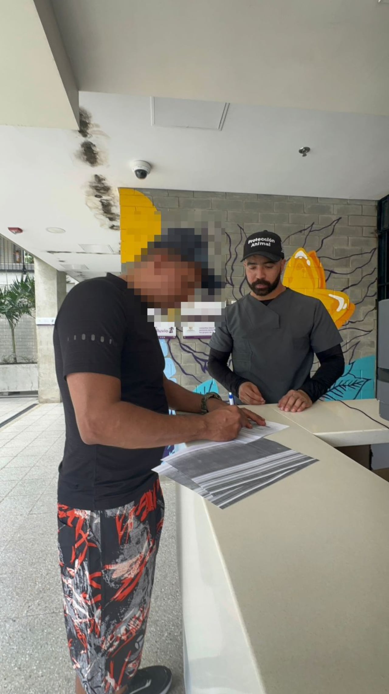 Zafir, perro herido durante atentado en Mariano Ramos, atendido en el Centro de Bienestar Animal de Cali.