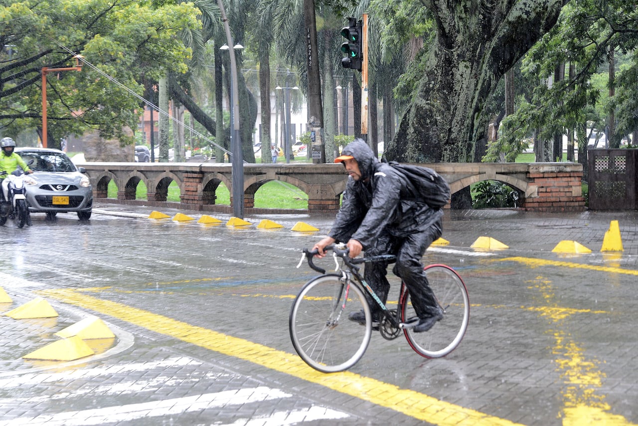Cali: Lluvias en la ciudad desde tempranas horas de mañana generan caída de árboles en el oeste de Cali