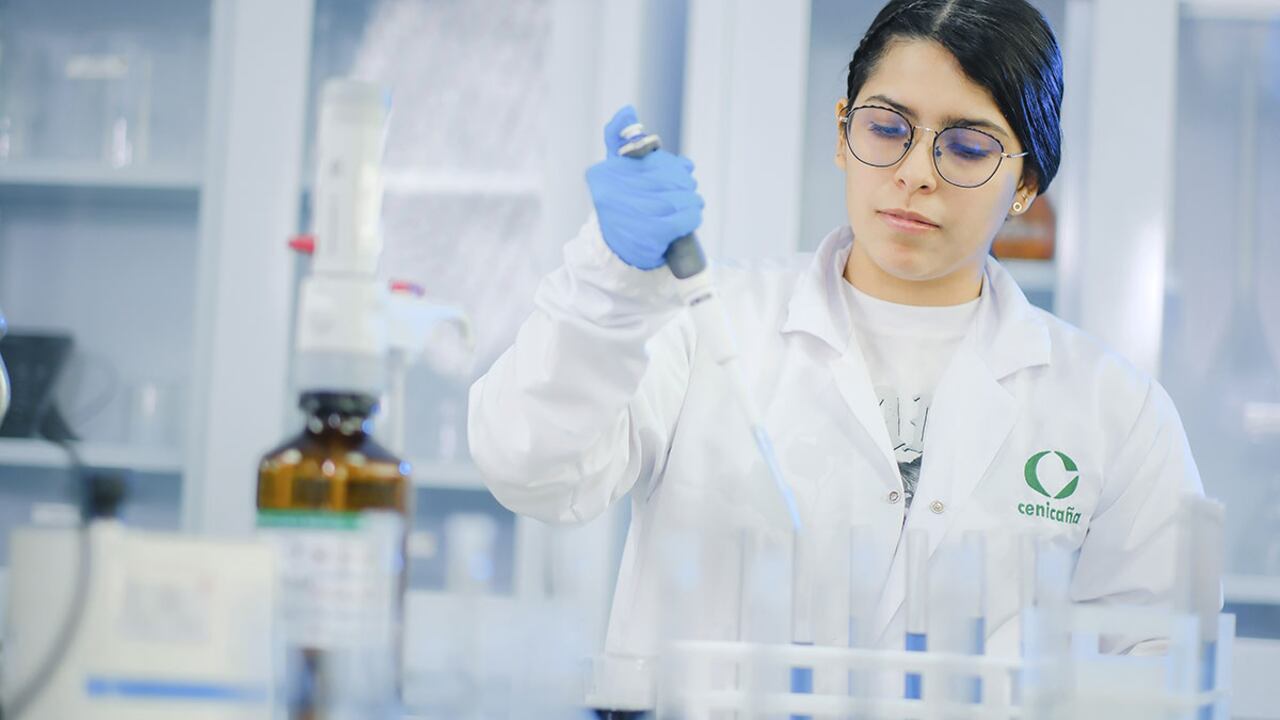 El Centro de Investigación de la Caña de Azúcar de Colombia, Cenicaña, es un centro especializado que a través de sus estudios, conocimientos y tecnología contribuye al desarrollo, la competitividad y la sostenibilidad del sector agroindustrial de la caña de azúcar de Colombia.