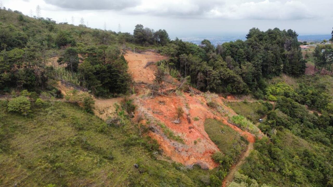 La Mimosa, ubicada en todo el filo del Corregimiento La Castilla