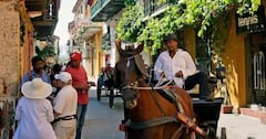 Caballos utilizados para empujar coches turísticos en Cartagena.