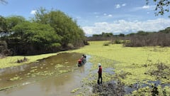Las acciones incluyeron recuperación de espejos de agua y jornadas de educación ambiental con las comunidades.