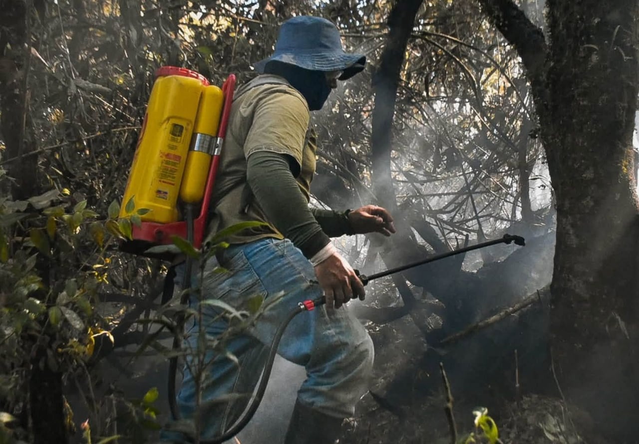 En la atención de la emergencia participan integrantes de la Fuerza Aeroespacial Colombiana, Defensa Civil, cuerpos de Bomberos, Ejército Nacional y Policía Nacional, quienes han trabajado en las labores de control tanto desde tierra como desde el aire.