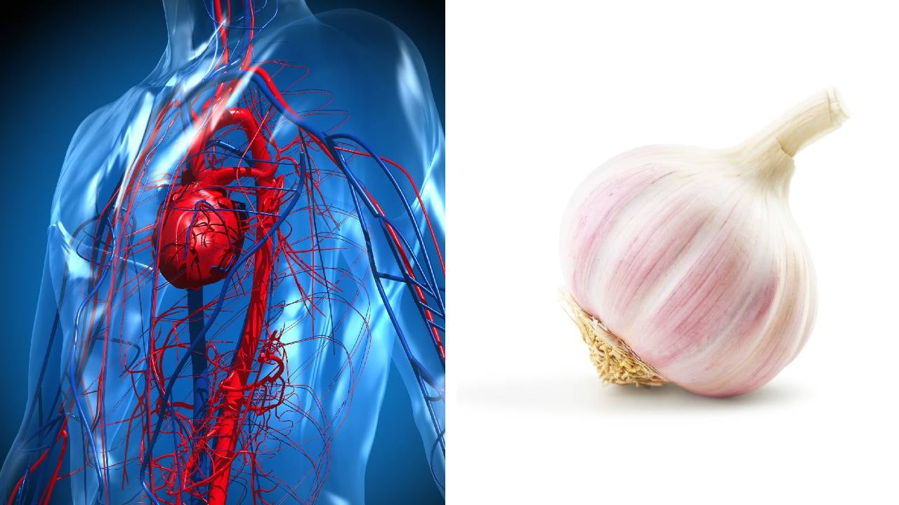 El ajo es un alimento rico en proteínas, yodo, fósforo, potasio, vitamina B6 y compuestos sulfurados. Foto: Getty images, montaje SEMANA.