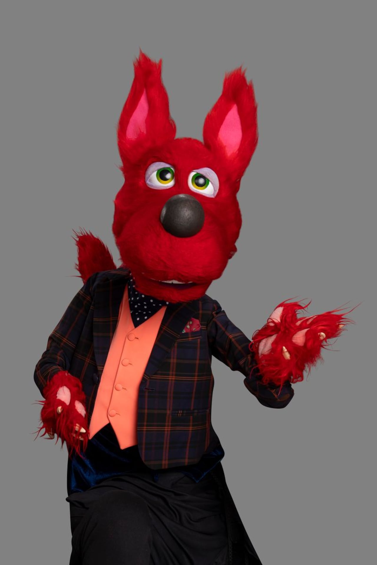 Aurelio Cheveroni regresará para hacer parte de las audiciones y de la versión infantil del programa.