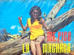 Me Picó la Machacha, uno de los discos de melomerengues más populares en su época.