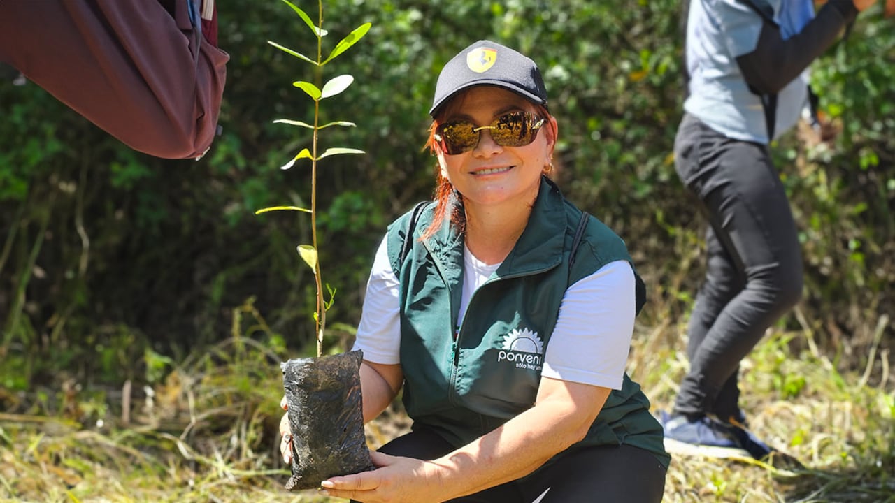 En 2023, el Fondo de Pensiones y Cesantías Porvenir sembró 35.000 especies vegetales en áreas de gran valor ecológico para el país.