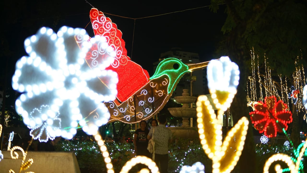 Cali iluminó su noche con el esperado encendido del Alumbrado Navideño 2024