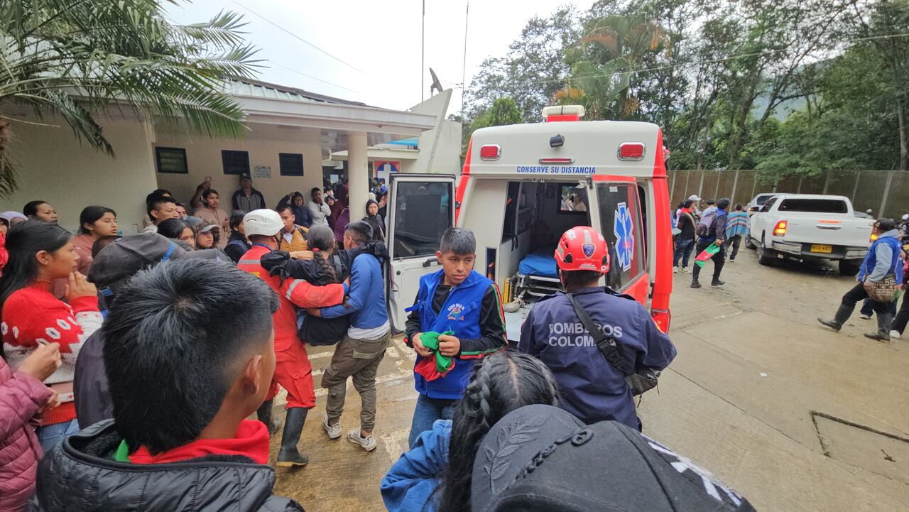 Un grave incidente se presentó este martes en el cementerio de Toribío, Cauca, cuando un enjambre de abejas atacó a más de ochenta personas que asistían al sepelio del líder indígena Edgar Tumiñá Gembuel, asesinado el pasado fin de semana.