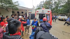 Un grave incidente se presentó este martes en el cementerio de Toribío, Cauca, cuando un enjambre de abejas atacó a más de ochenta personas que asistían al sepelio del líder indígena Edgar Tumiñá Gembuel, asesinado el pasado fin de semana.