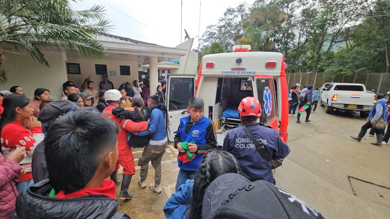Un grave incidente se presentó este martes en el cementerio de Toribío, Cauca, cuando un enjambre de abejas atacó a más de ochenta personas que asistían al sepelio del líder indígena Edgar Tumiñá Gembuel, asesinado el pasado fin de semana.