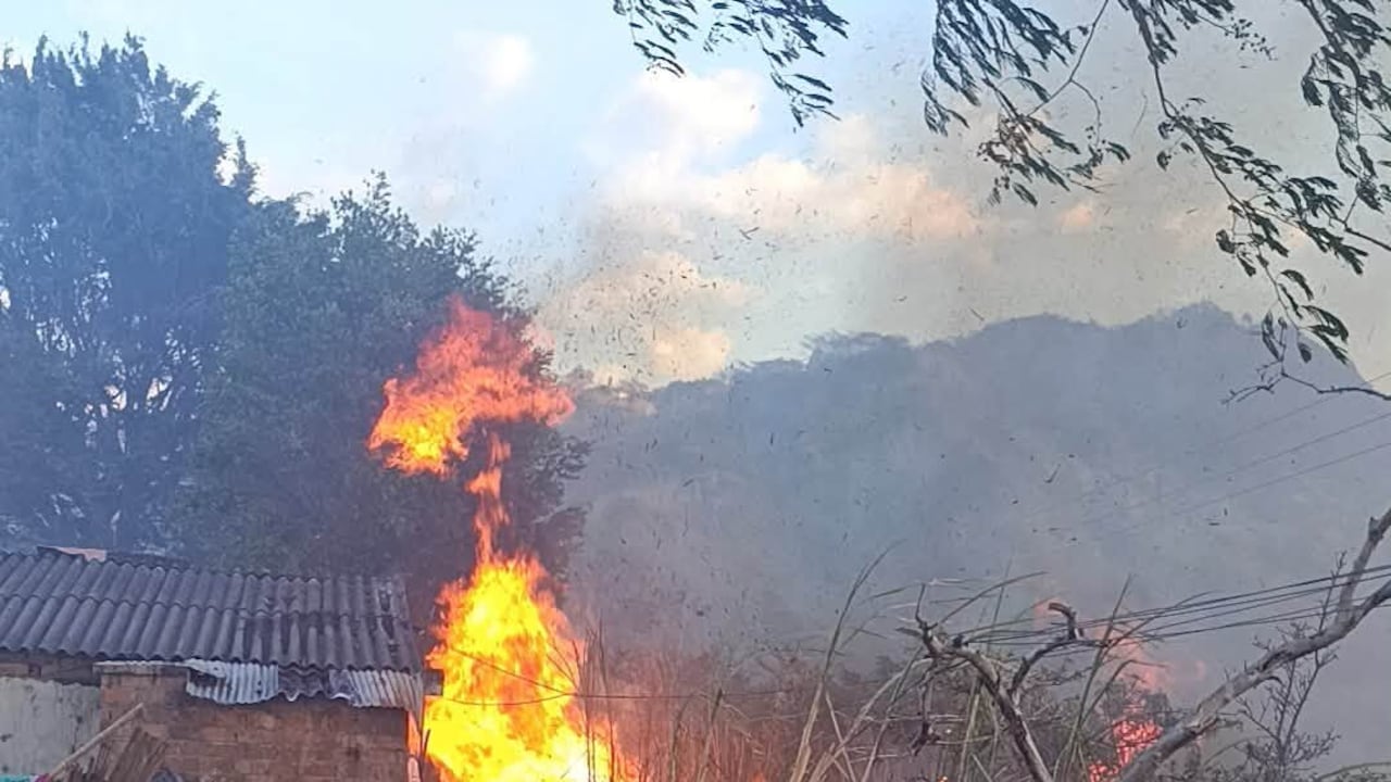 Unidades de los Cuerpos de Bomberos de La Unión y San Bernardo trabajan arduamente para contener un incendio forestal que consumió 25 hectáreas en las veredas Reyes, El Mayo y El Peligro, afectando gravemente cultivos y fauna local.