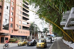 Ciudadanos reportaron ante El País Denuncia el riesgo que representaría la guadua inclinada.