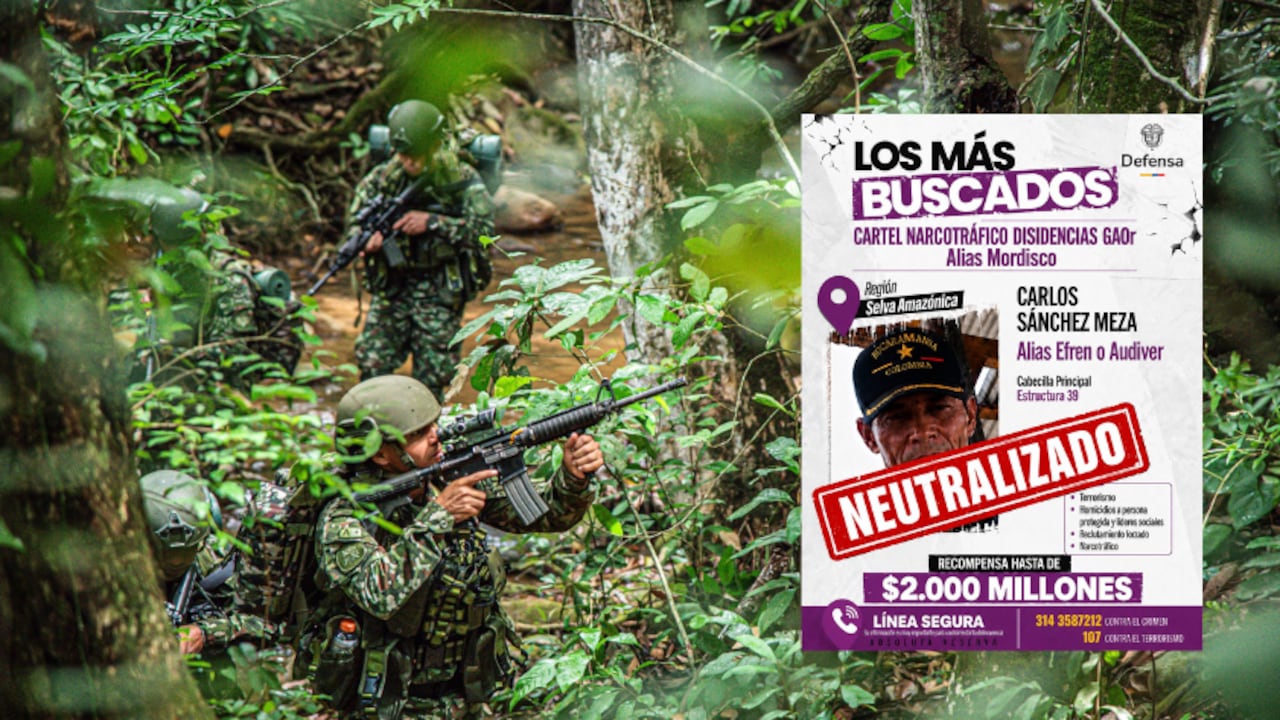Tropas de las Fuerzas Militares y de la Policía hicieron parte del operativo.