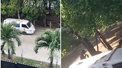 La presencia constante del vehículo ha generado preocupación entre familias del barrio.