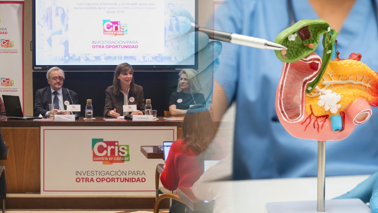 Un avance del CNIO abre esperanza tras erradicar adenocarcinoma ductal en modelos animales.