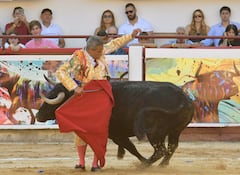 Corrida de toros 28 diciembre Feria de Cali.