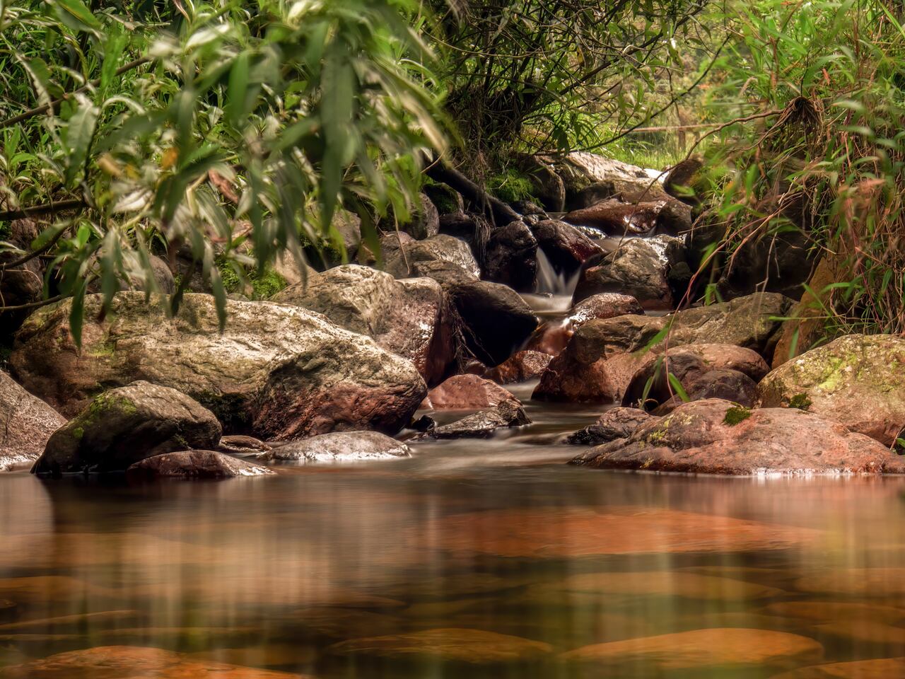 Entre las prohibiciones más importantes de la Semana Santa se encuentra la abstención de consumir carnes rojas, una práctica arraigada en la tradición de penitencia y sacrificio.
