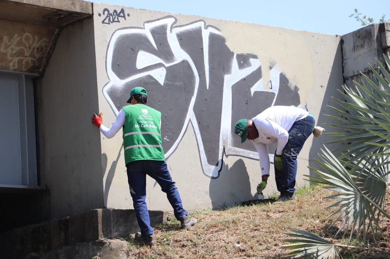 Programa 'Mi Cali bella'