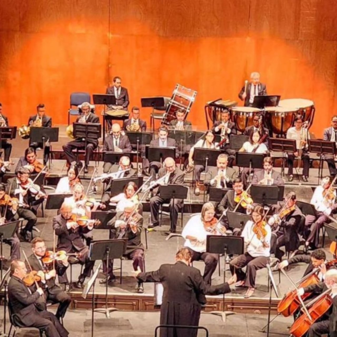 El Festival contará con la participación de artistas de Costa Rica, España, Estados Unidos, Georgia, Italia, Japón, Venezuela y, por supuesto, Colombia, con formatos que incluyen desde montajes sinfónico – corales hasta la puesta en escena de una ópera.