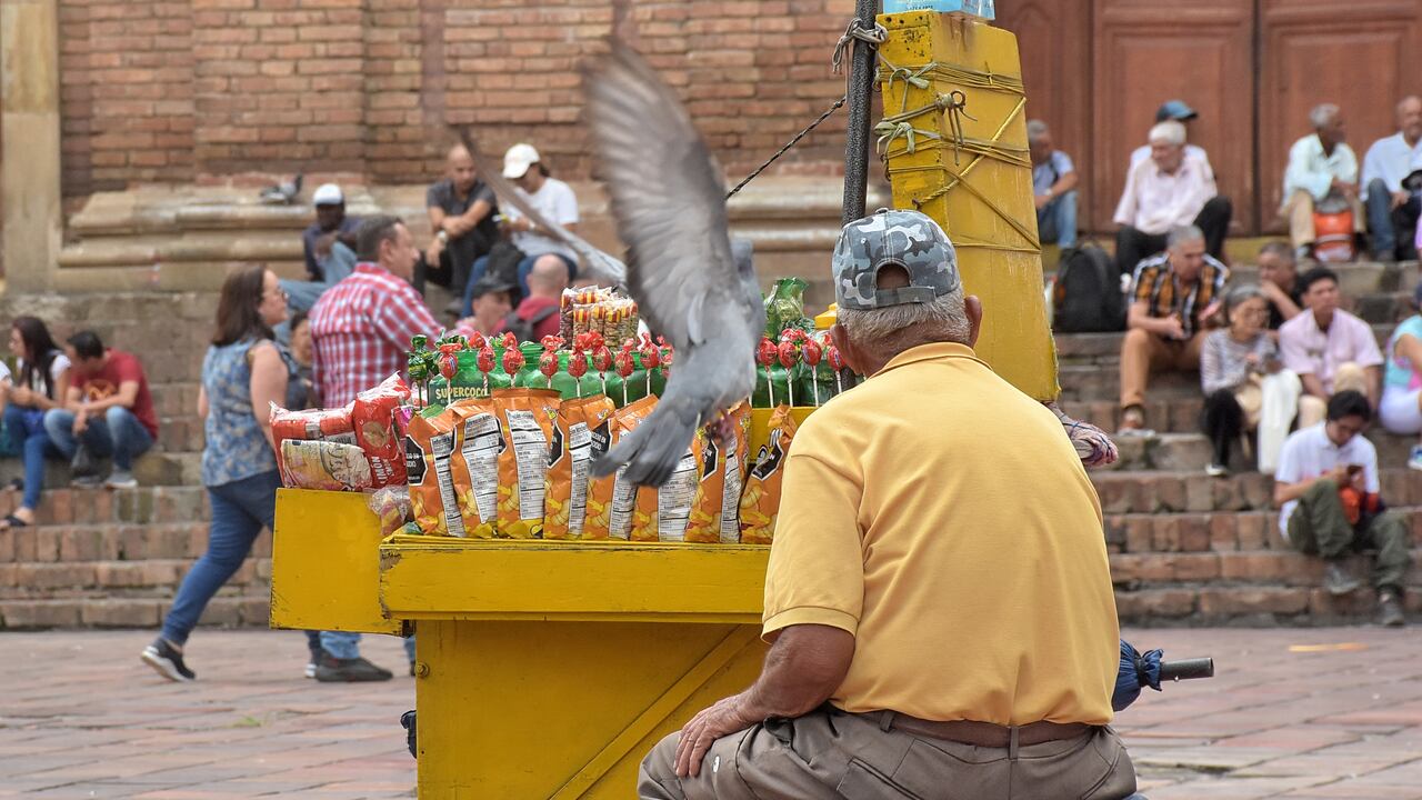 Población de Adultos Mayores en la ciudad de Cali.