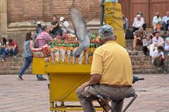 Población de Adultos Mayores en la ciudad de Cali.
