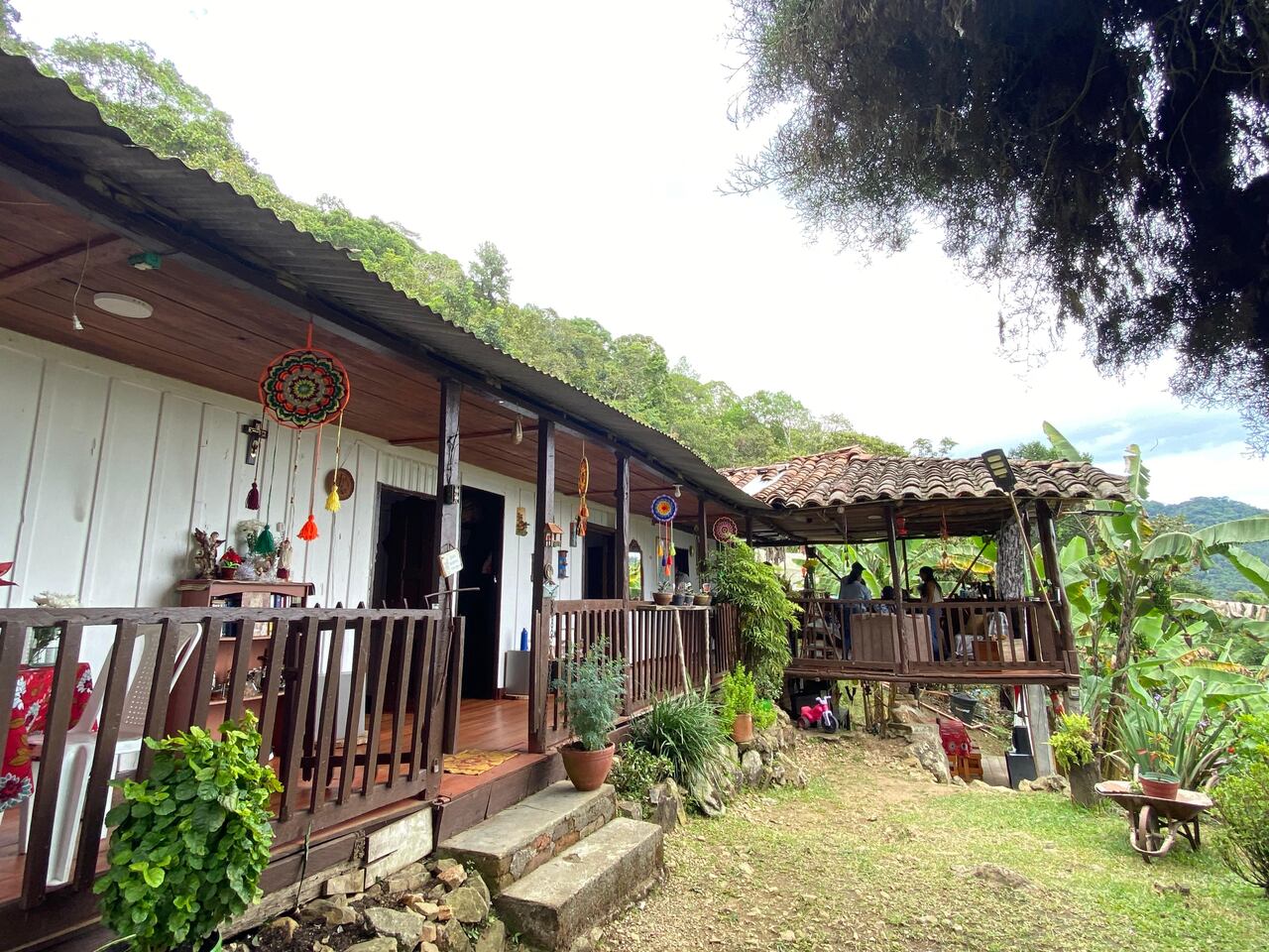 Palmira; Recorrido por Fincas Agroturisticas, Carton de Colombia. Foto José L Guzmán. EL País