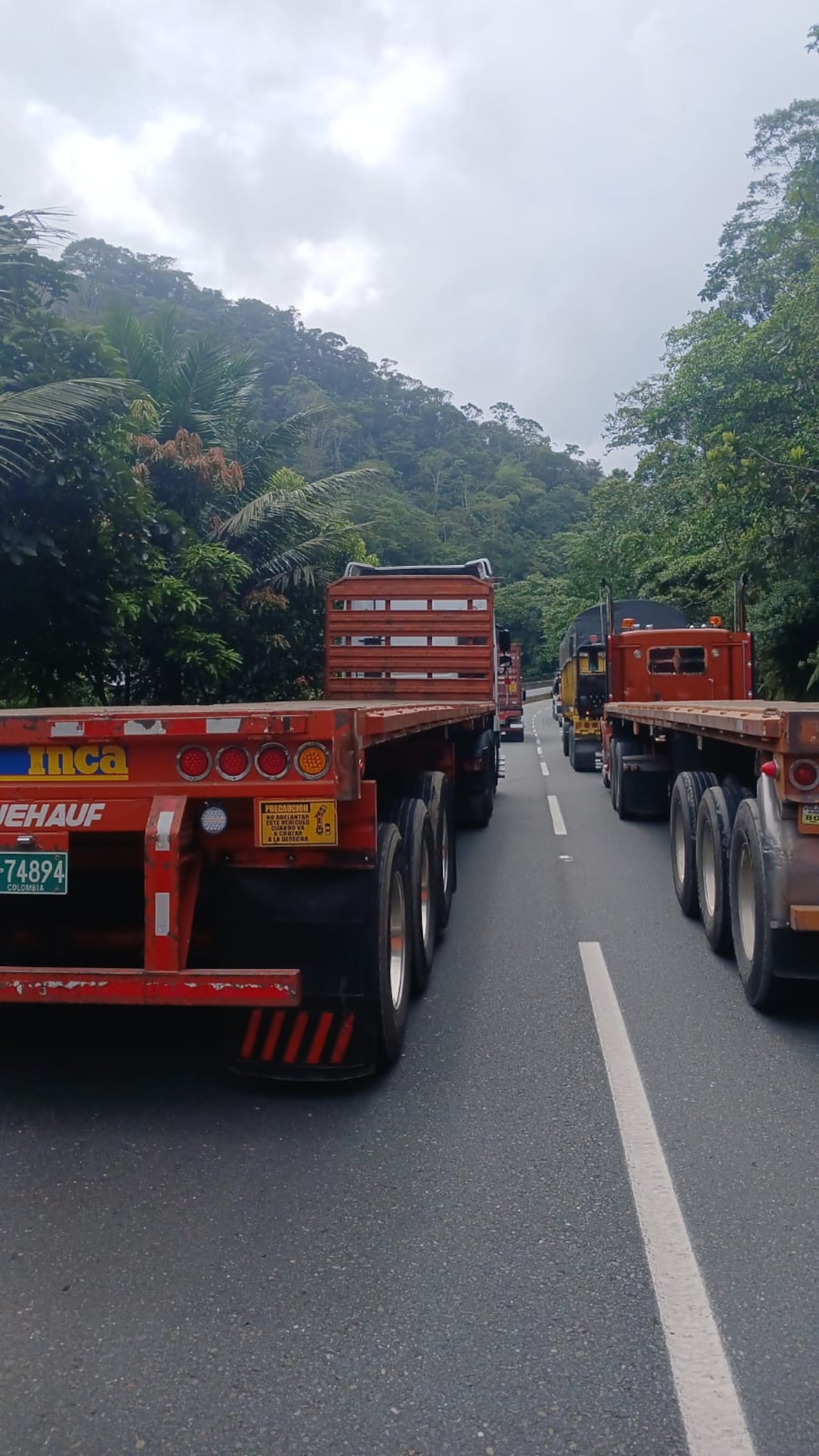 Decenas de vehículos quedaron represados en la vía que comunica al municipio de Buenaventura con Buga.