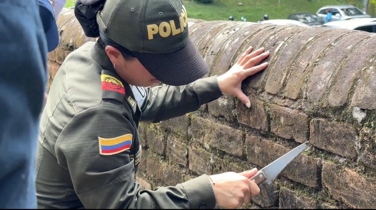 Instituciones como Bomberos, Policía y entidades municipales se articularon para recuperar este emblemático espacio turístico.