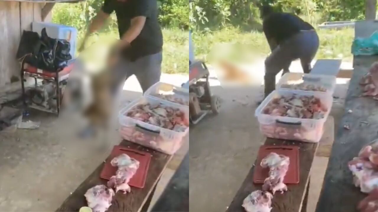 Hombre en Antioquia maltratando a un canino en estado de indefensión.