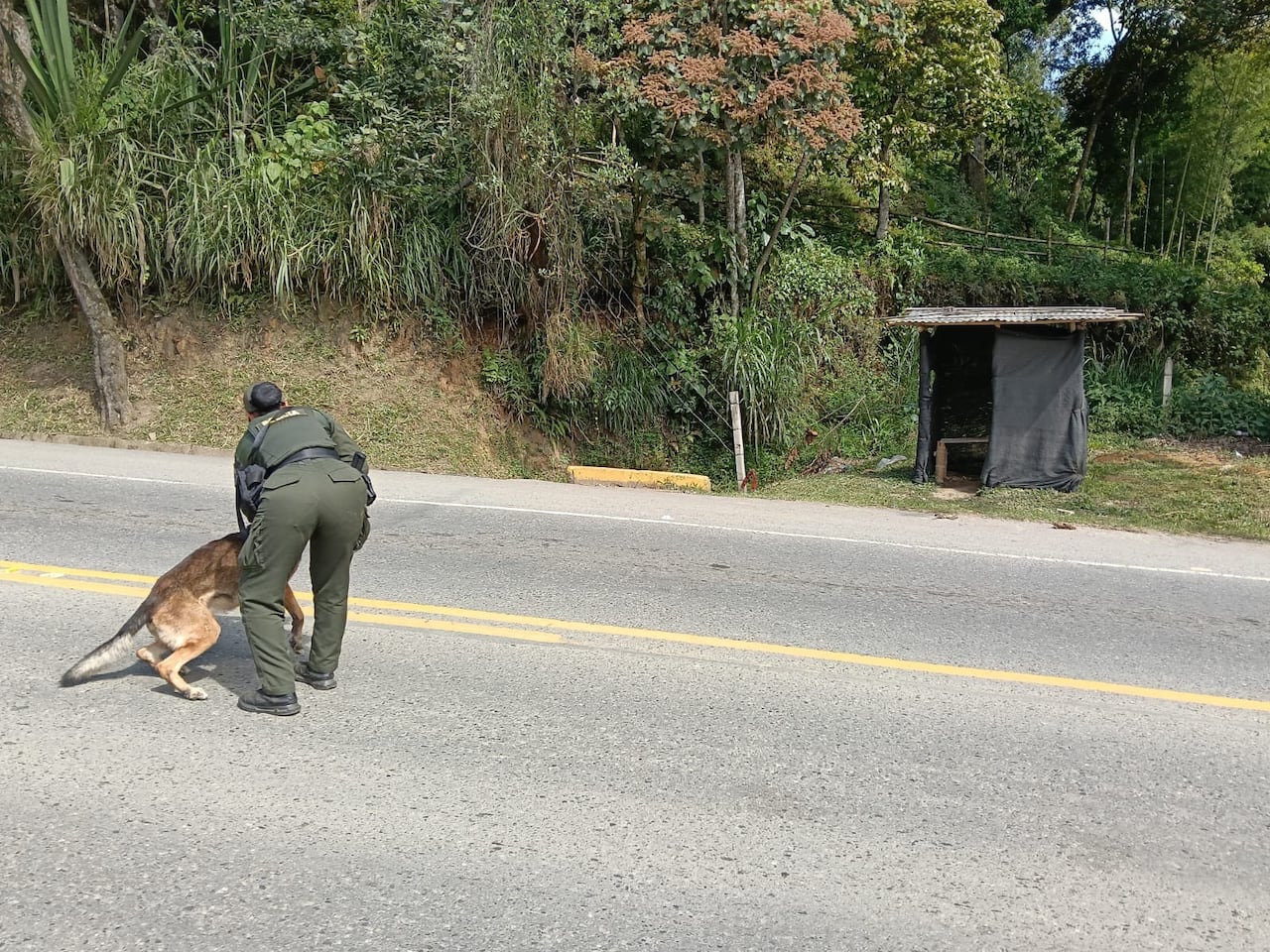El general William Oswaldo Rincón Zambrano destacó la labor de los uniformados que arriesgaron sus vidas para neutralizar la amenaza.