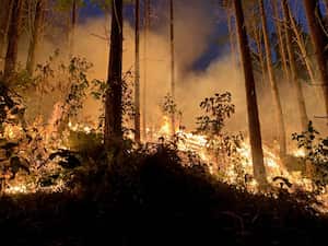 Smurfit Kappa Colombia, reitera los llamados que ha realizado a las autoridades para que se tomen medidas de atención necesarias de cara a
mantener la sana convivencia.