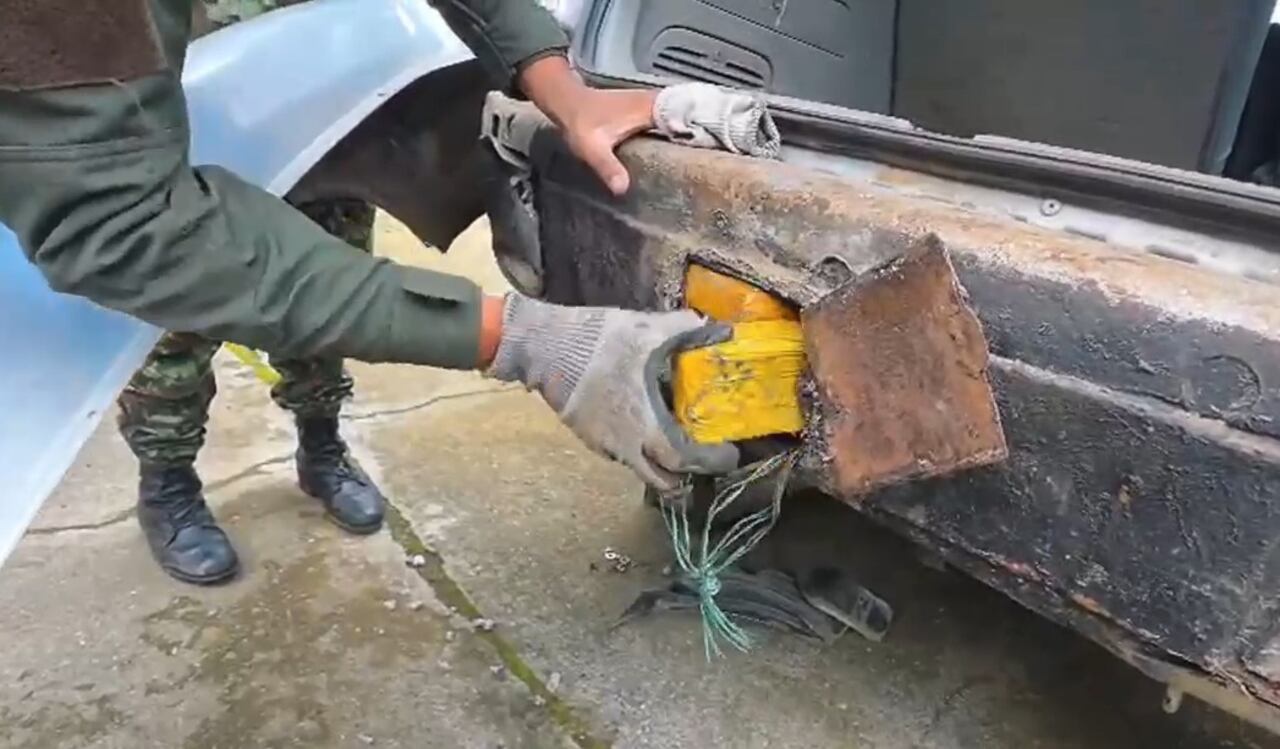 Este tipo de marihuana es conocido por su alto contenido de THC (tetrahidrocannabinol), el principal compuesto psicoactivo de la planta, lo que la hace especialmente peligrosa para los consumidores, pues aumenta el riesgo de adicción y efectos adversos en la salud.