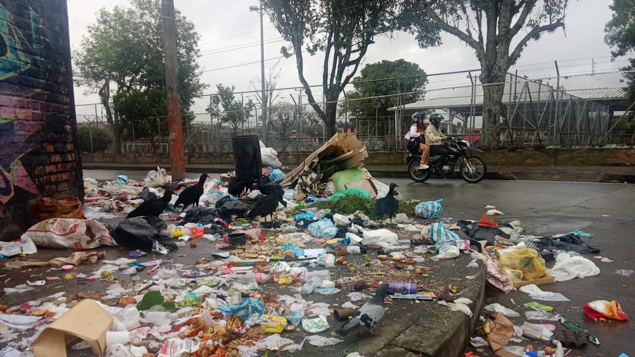 Habitantes denuncian que la situación se agrava por la falta de recolección y la manipulación de residuos en la vía pública.