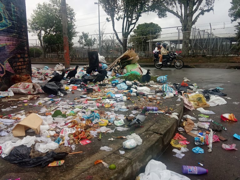 Habitantes denuncian que la situación se agrava por la falta de recolección y la manipulación de residuos en la vía pública.