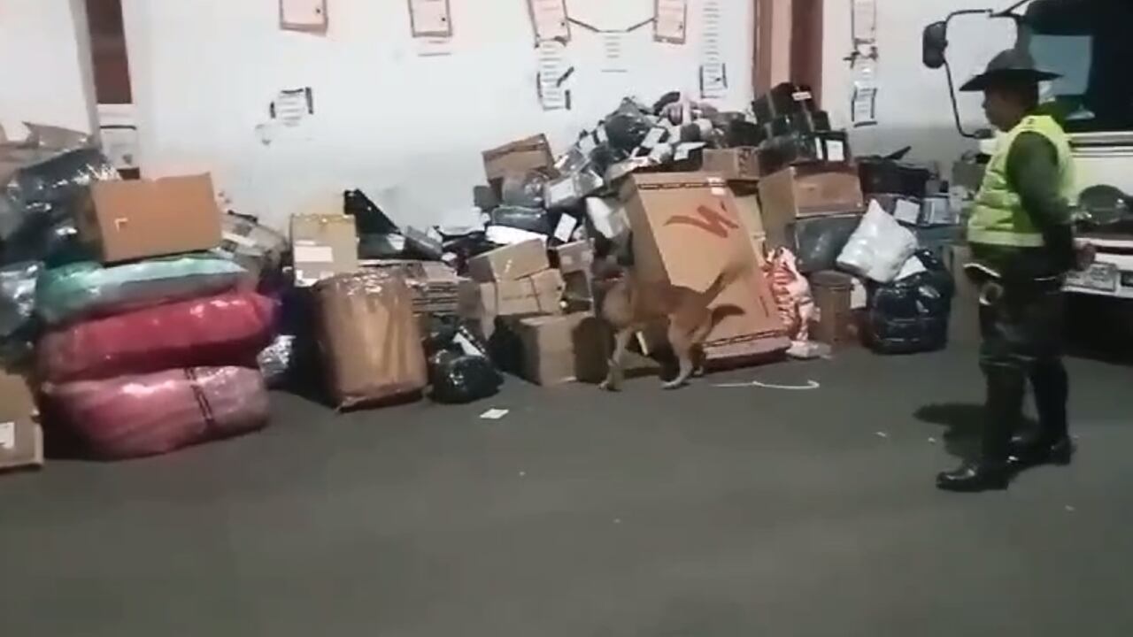 90 mil gramos de marihuana estaban ocultos en varios paquetes sospechosos.