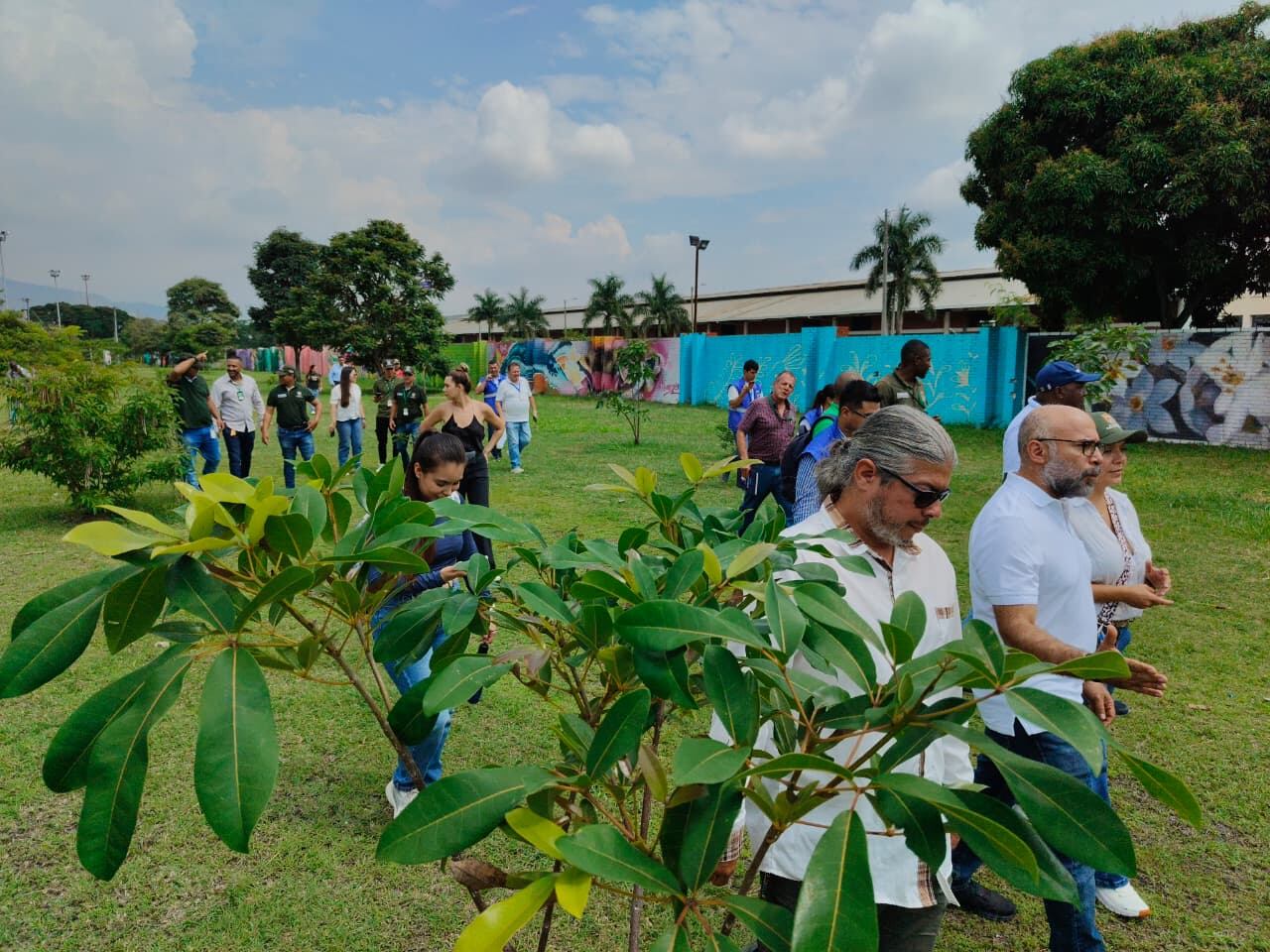 Recorrido por el corredor vial de la calle 25, con delegados de la Comuna 3, grupos sociales, la Personería Municipal, y representantes del Dagma y Corfecali, para avanzar en proceso de concertación del traslado de árboles en este sector. Fotos Jorge Orozco