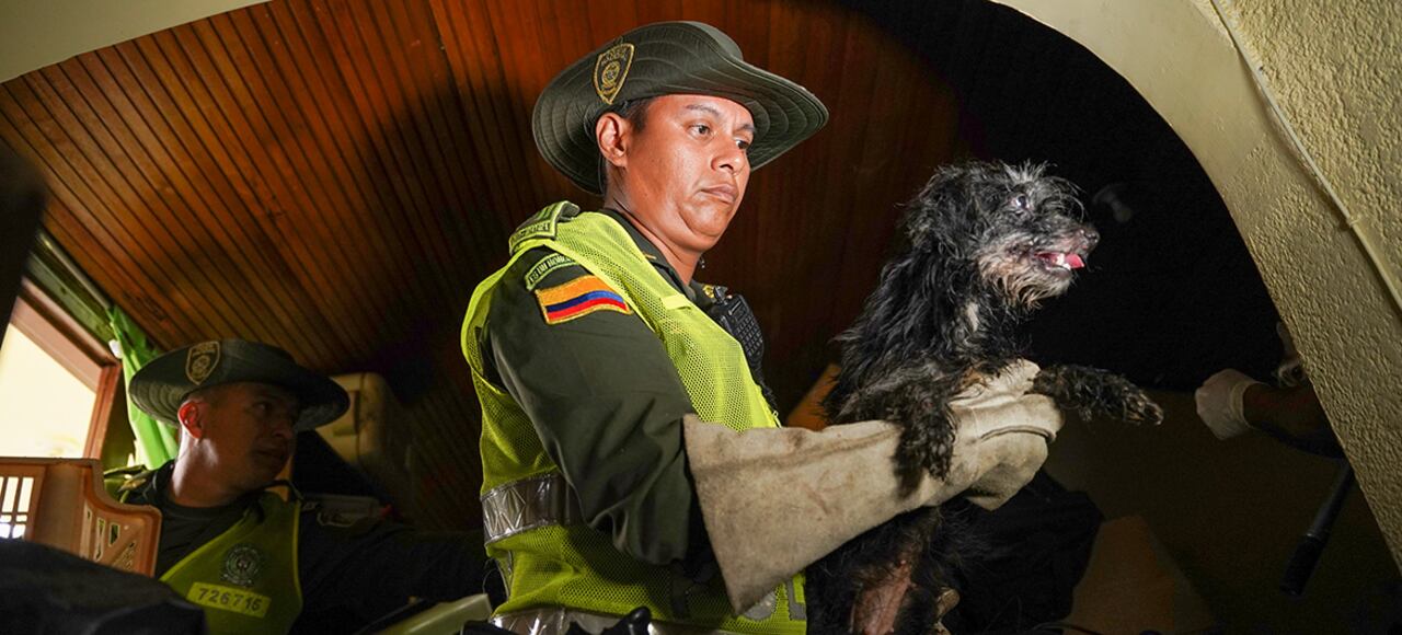 La Policía distrital hace un llamado a la ciudadanía a denunciar todos los tipos de maltrato para el rescate de las víctimas y la judicialización de los victimarios.