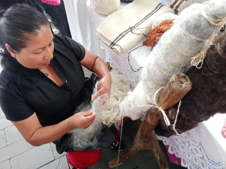 Alba Nellys Usurriaga muestra, en pleno parque Caldas de Popayán, el proceso de elaboración de la lana, gracias a esta muestra cultural, artística y deportiva.