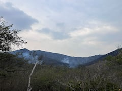 Incendio en Dapa, zona rural de Yumbo. Sector de Puerta Azul.