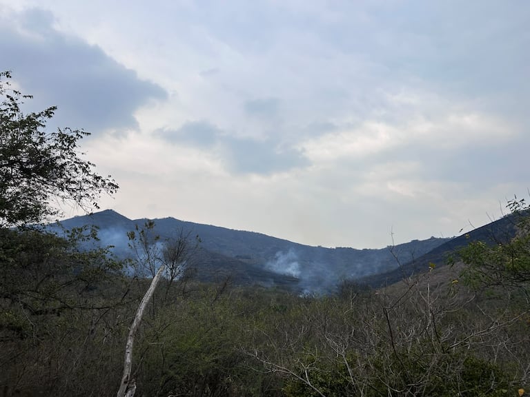 Incendio en Dapa, zona rural de Yumbo. Sector de Puerta Azul.