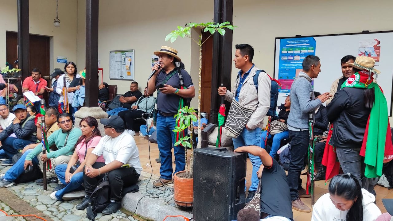 Organizaciones como el Consejo Regional Indígena del Cauca, Cric, lideran esta clase de movilizaciones.