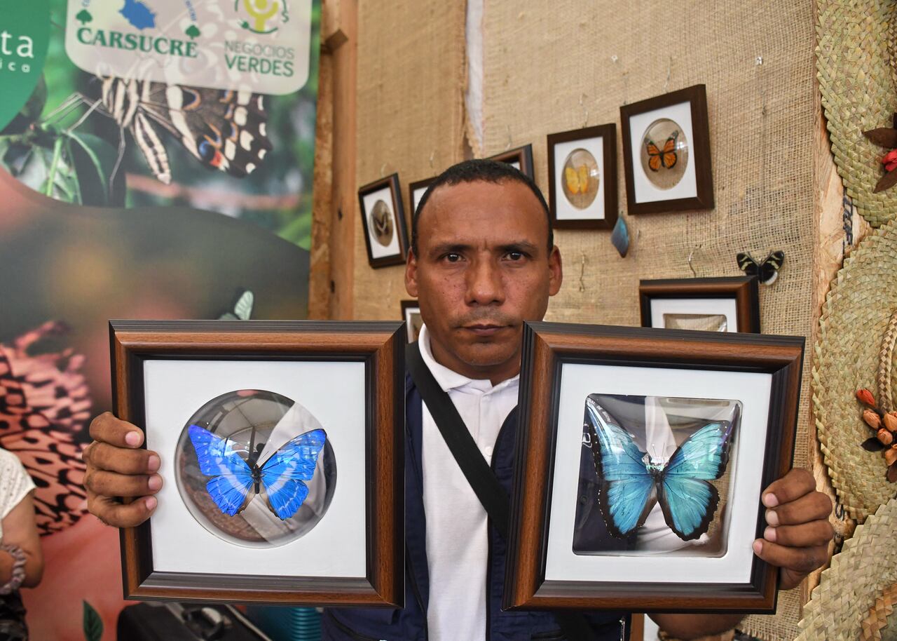 Cali : Negocios guardianes de la naturaleza Cop 16. foto José L Guzmán.El País